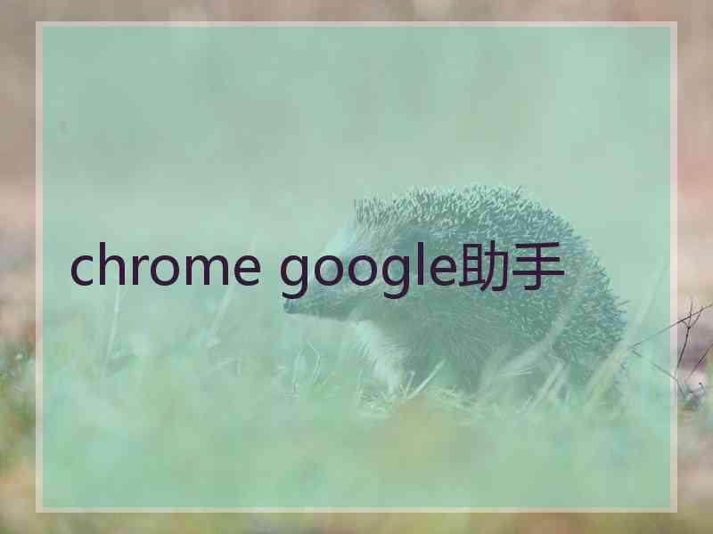 chrome google助手