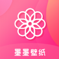 如何进入国外的网站