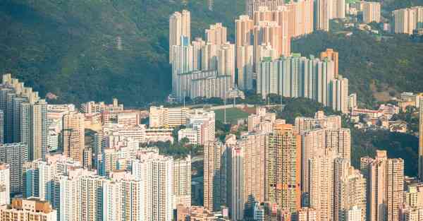 红杏加速器下载官方
