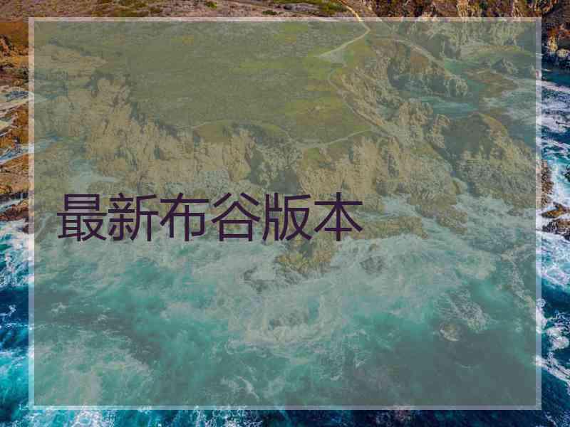 最新布谷版本