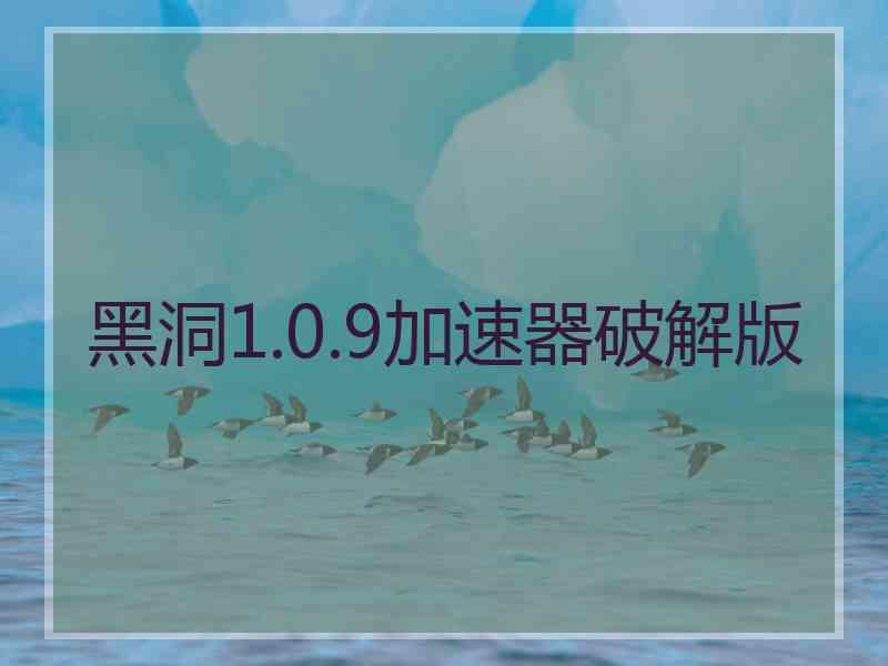 黑洞1.0.9加速器破解版