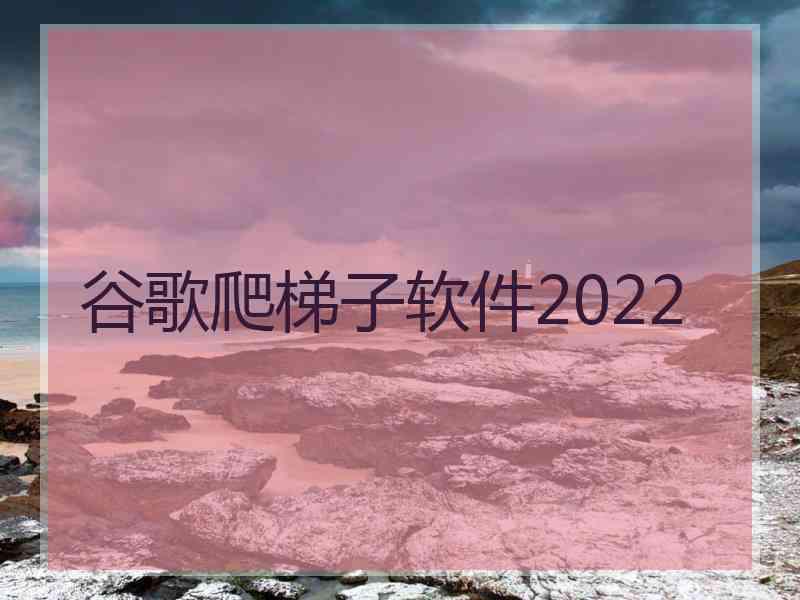 谷歌爬梯子软件2022