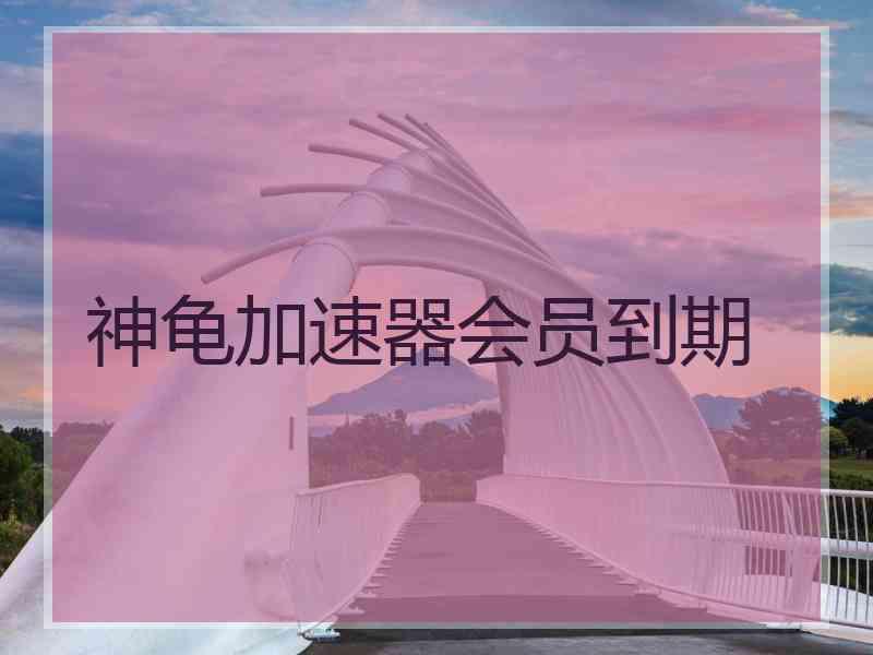 神龟加速器会员到期