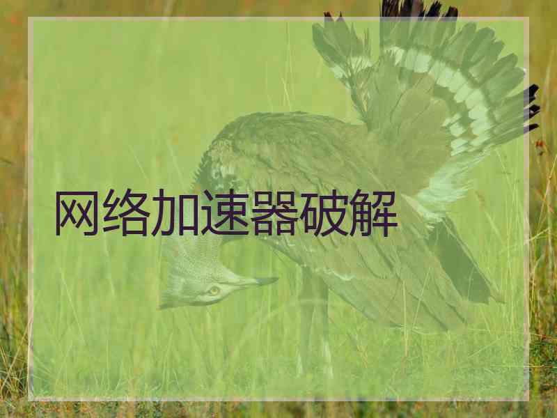 网络加速器破解