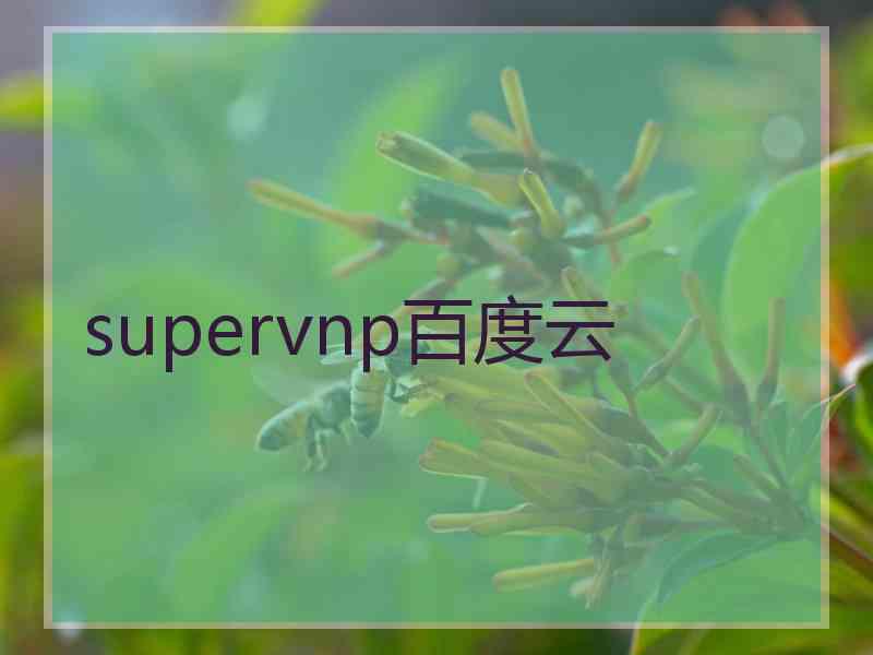 supervnp百度云