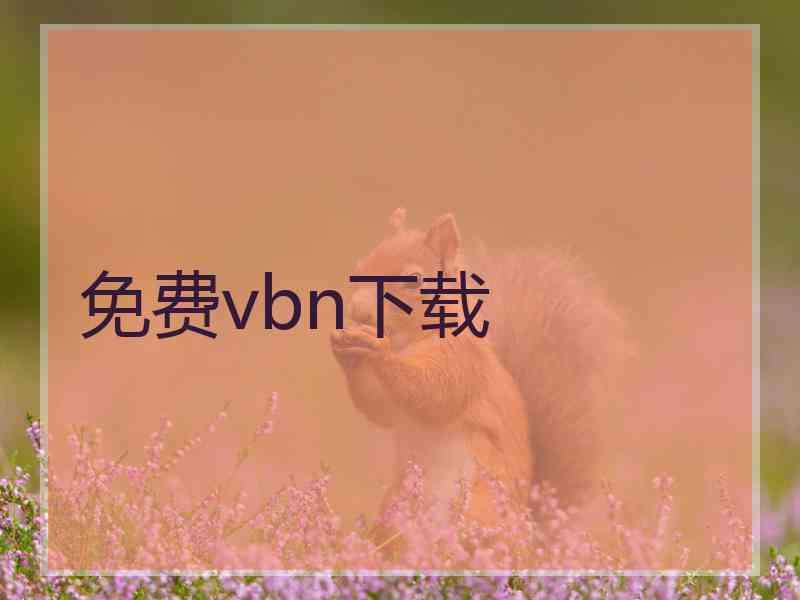 免费vbn下载