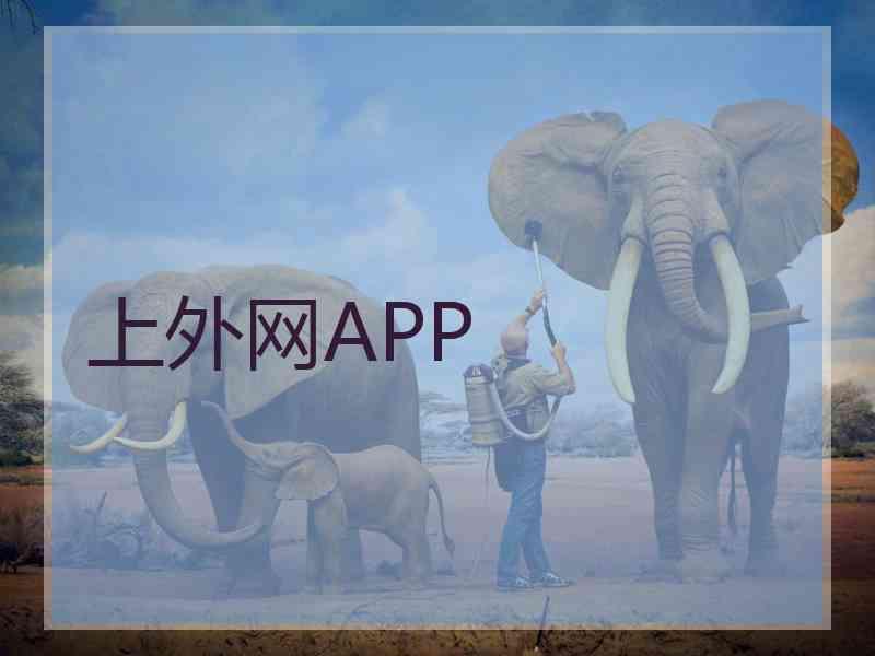 上外网APP