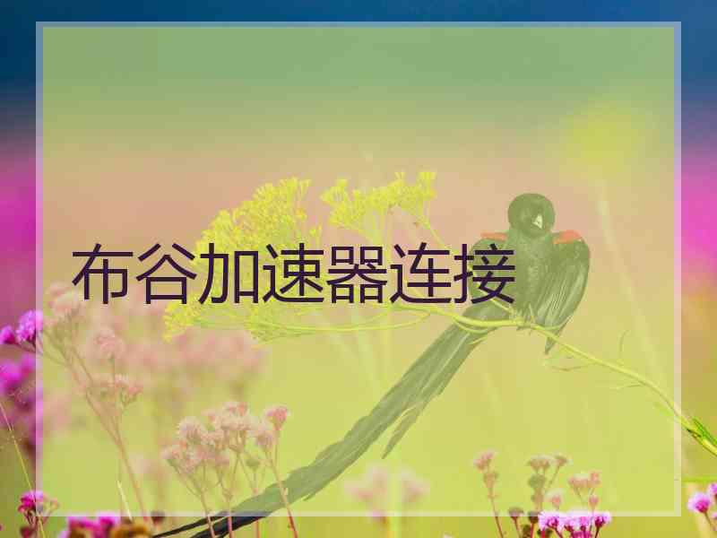 布谷加速器连接