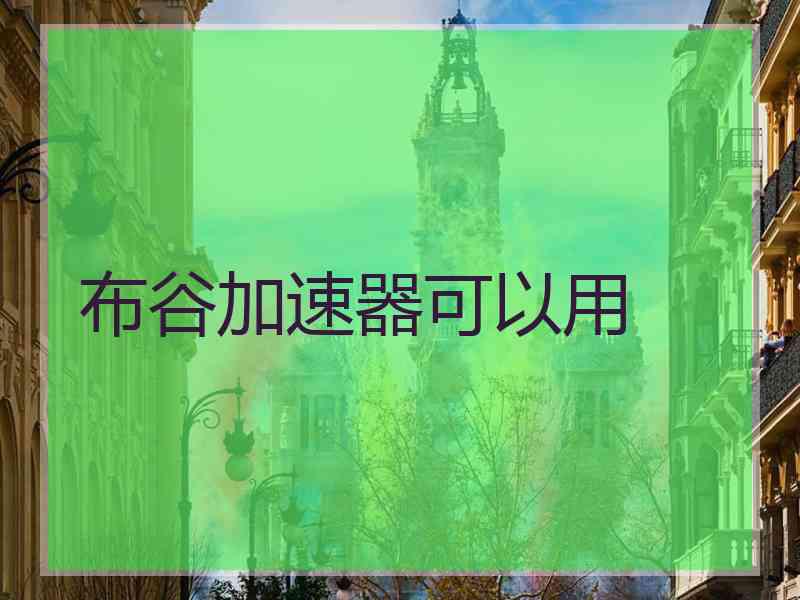 布谷加速器可以用