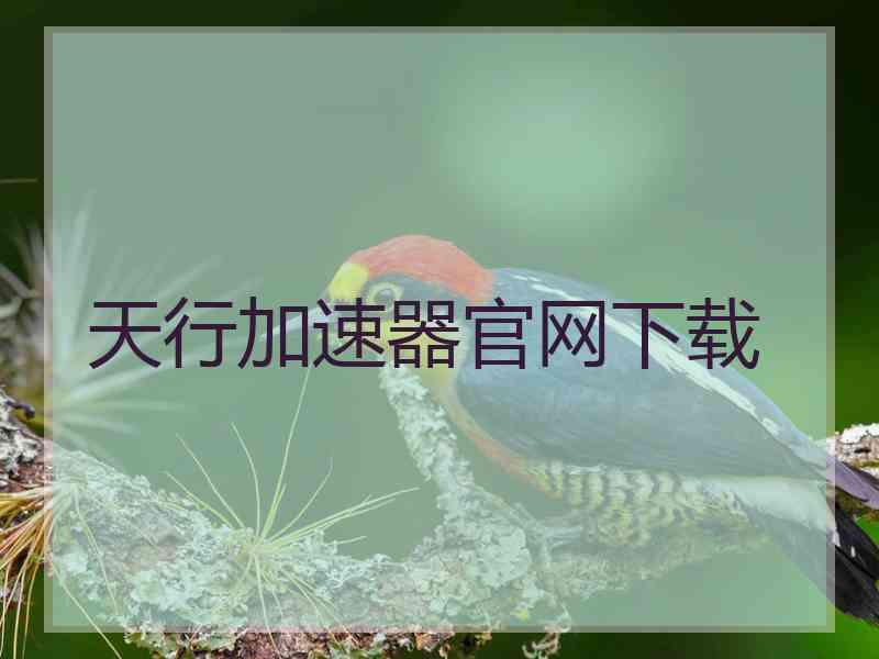 天行加速器官网下载