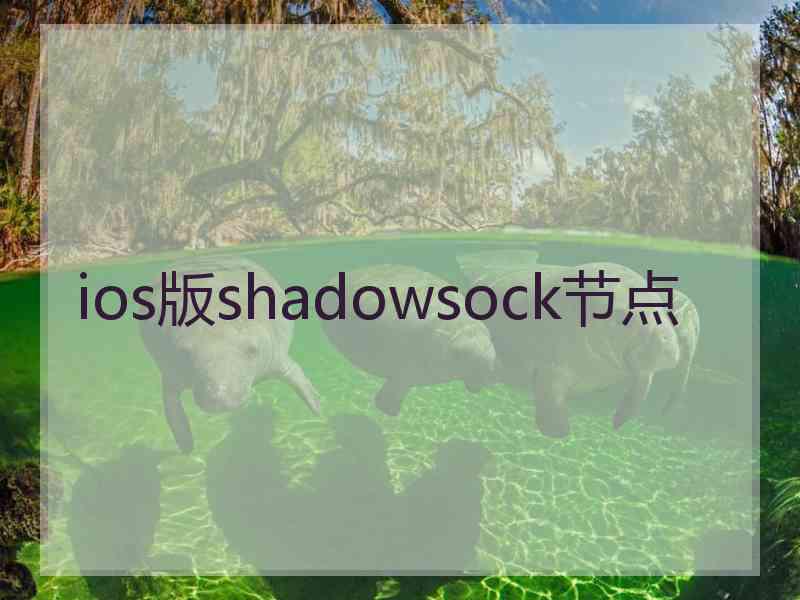 ios版shadowsock节点