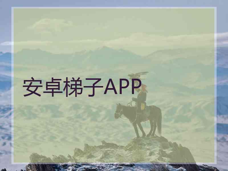安卓梯子APP