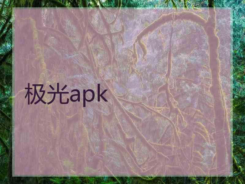 极光apk