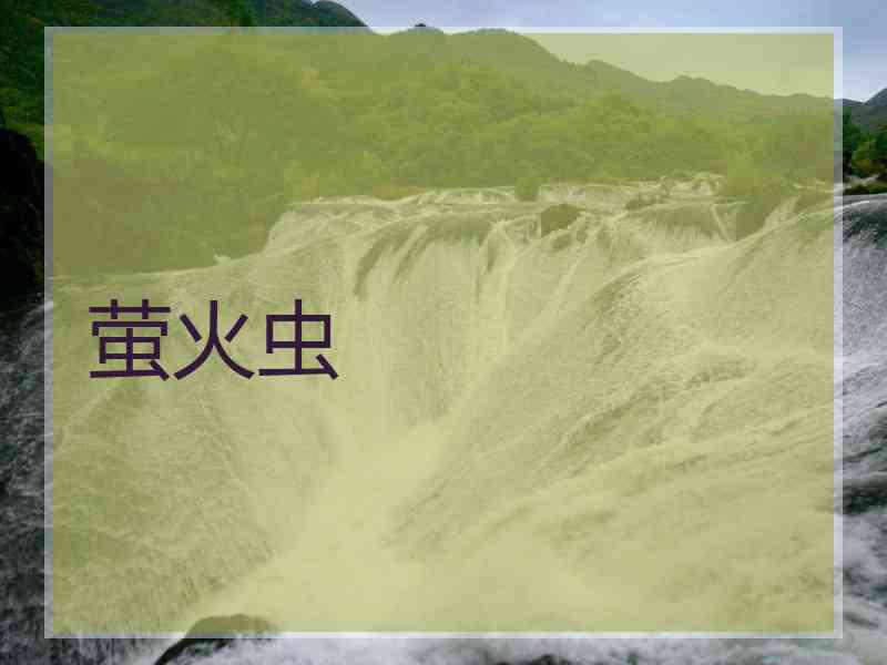 萤火虫