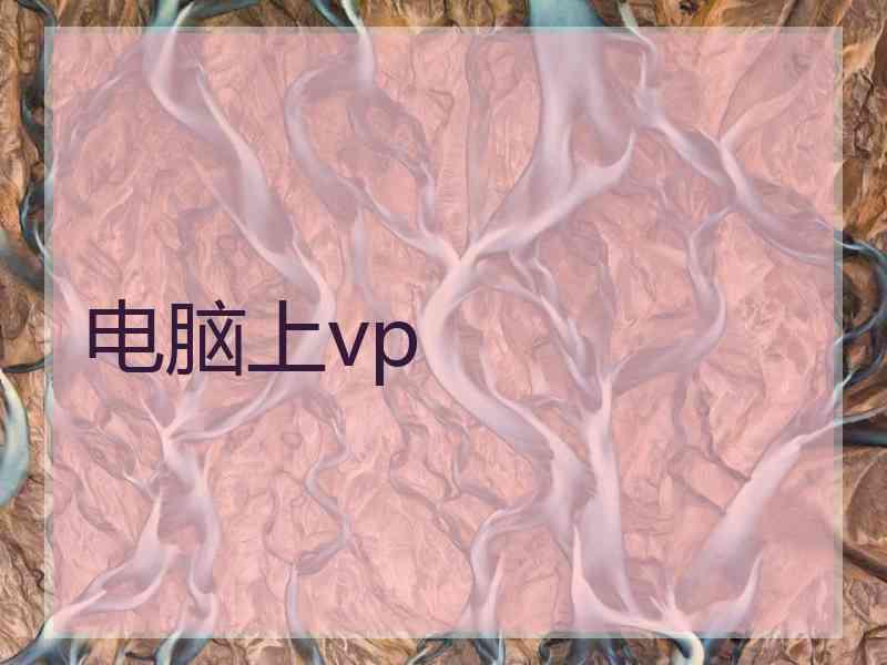 电脑上vp