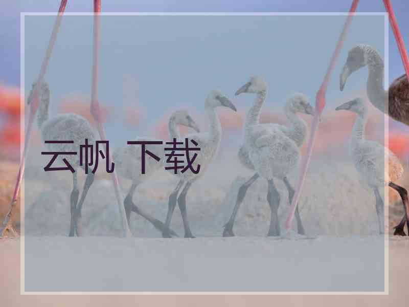 云帆 下载