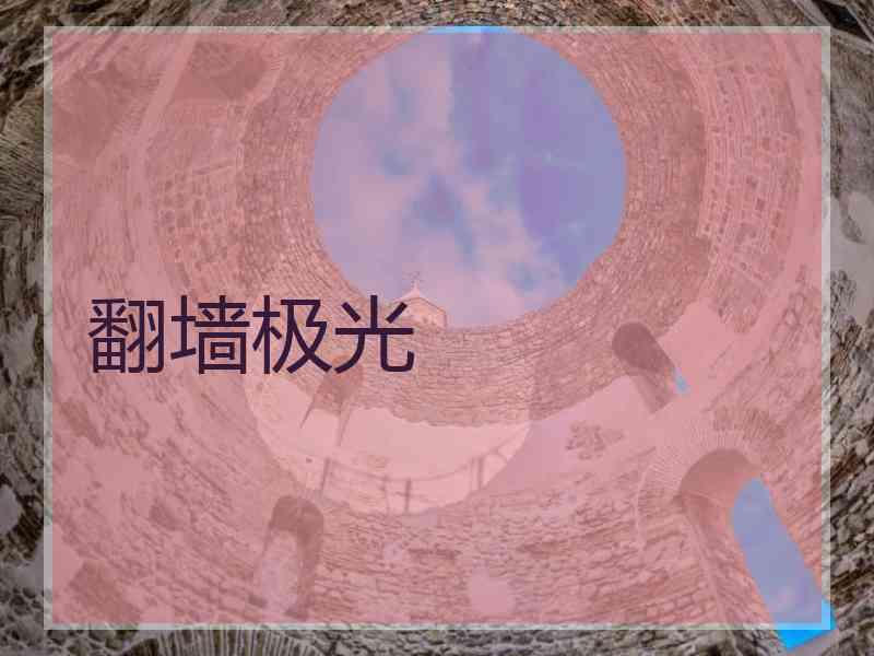 翻墙极光