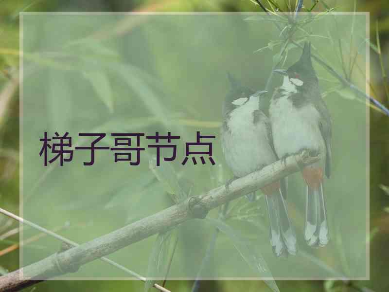 梯子哥节点