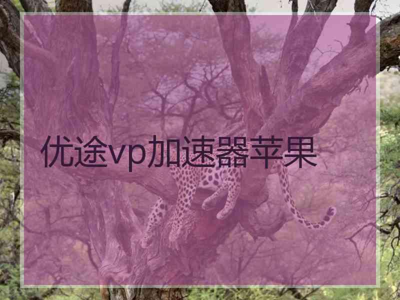 优途vp加速器苹果