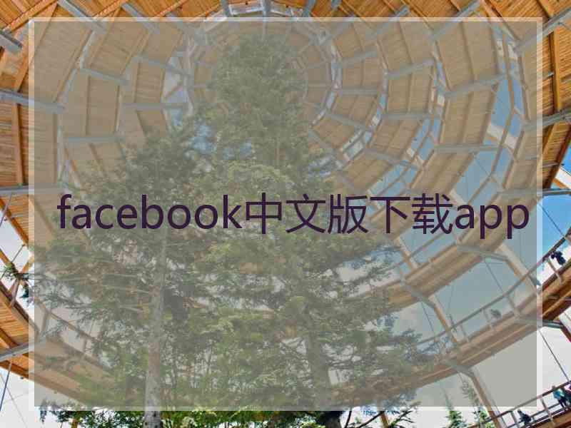 facebook中文版下载app