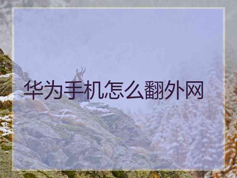 华为手机怎么翻外网