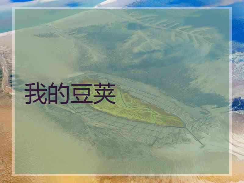 我的豆荚