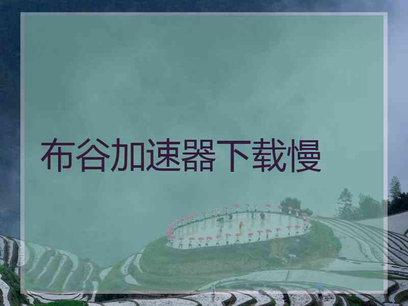 布谷加速器下载慢