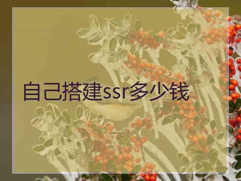自己搭建ssr多少钱