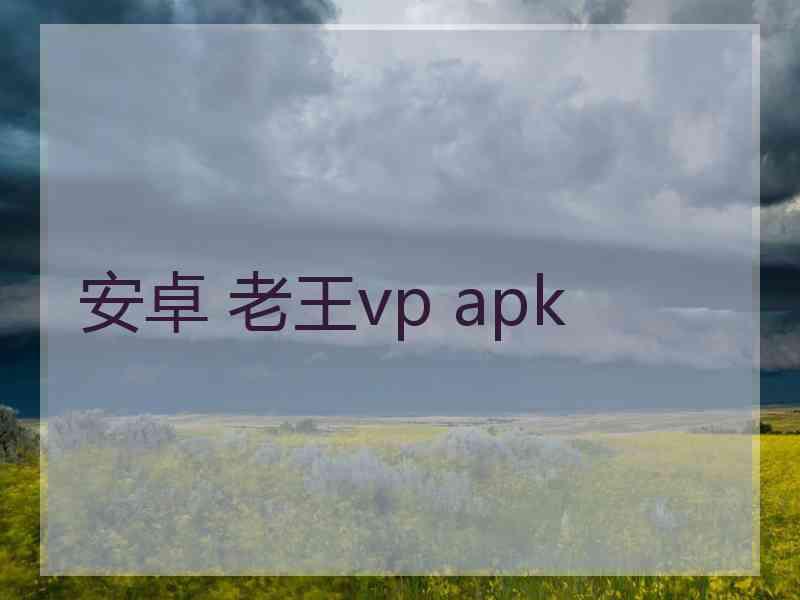 安卓 老王vp apk