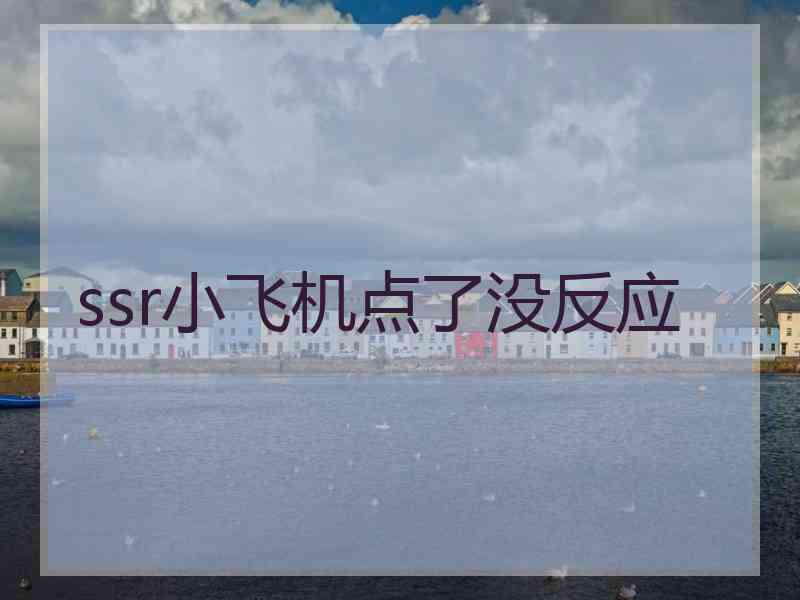 ssr小飞机点了没反应