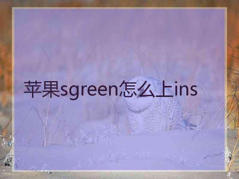 苹果sgreen怎么上ins