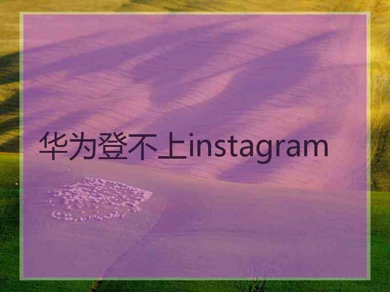 华为登不上instagram