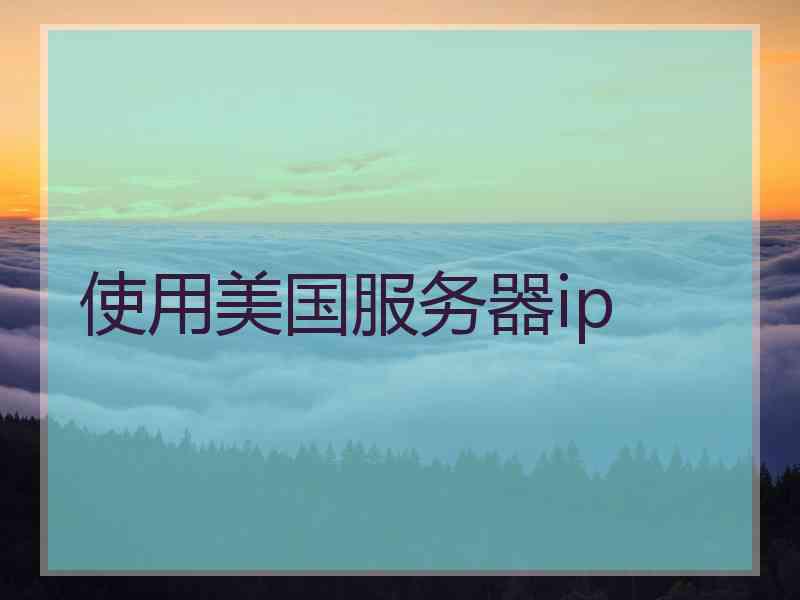 使用美国服务器ip