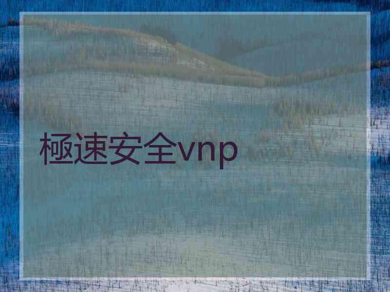 極速安全vnp