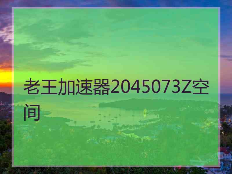 老王加速器2045073Z空间
