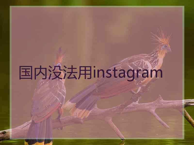 国内没法用instagram
