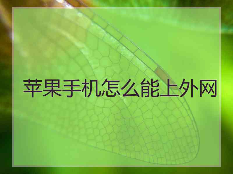 苹果手机怎么能上外网