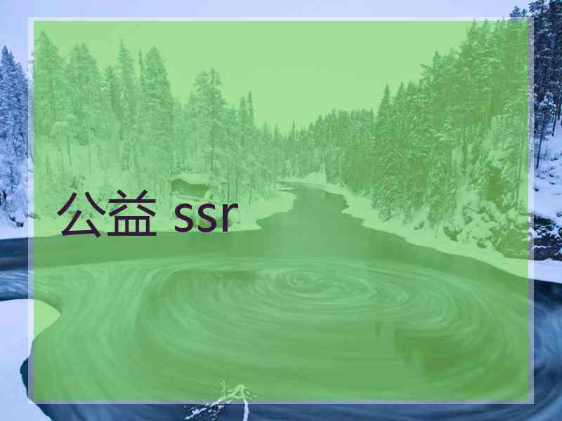 公益 ssr
