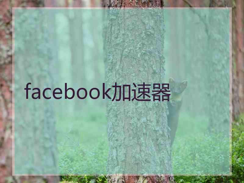 facebook加速器