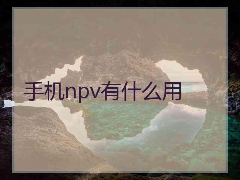 手机npv有什么用