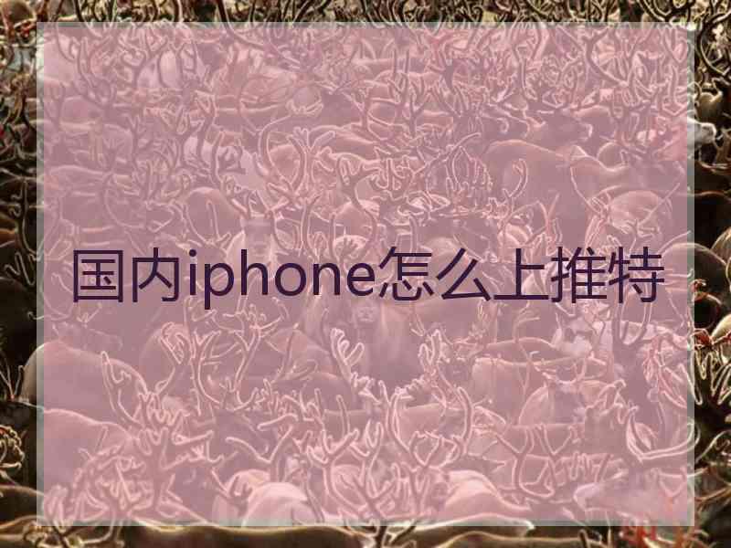 国内iphone怎么上推特