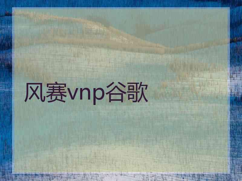 风赛vnp谷歌