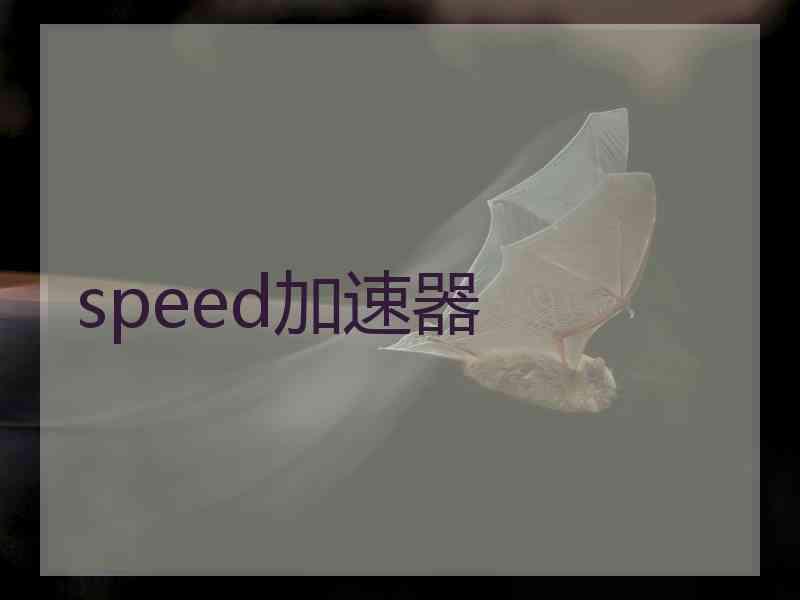 speed加速器