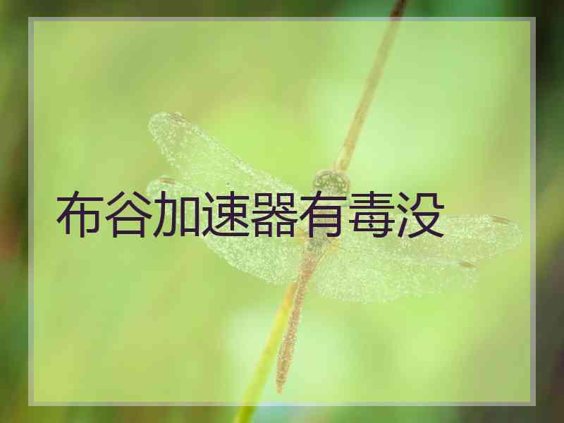 布谷加速器有毒没