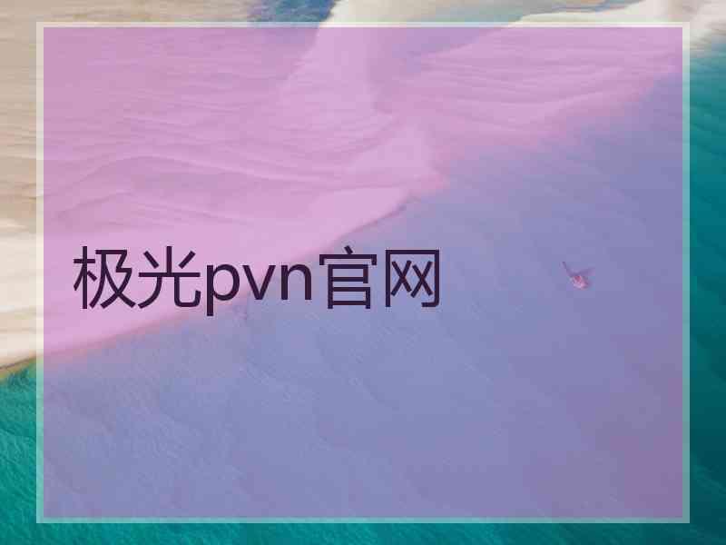 极光pvn官网