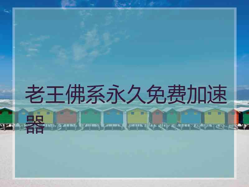 老王佛系永久免费加速器