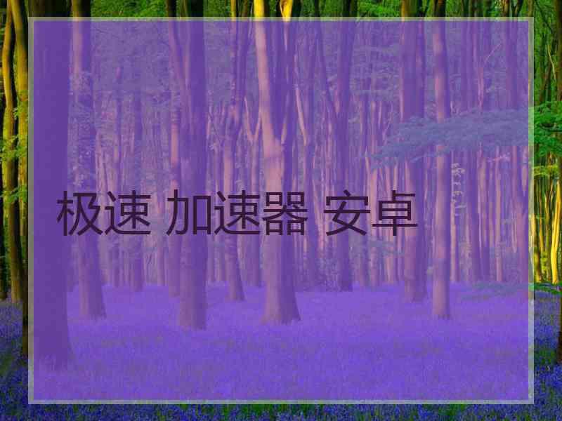 极速 加速器 安卓