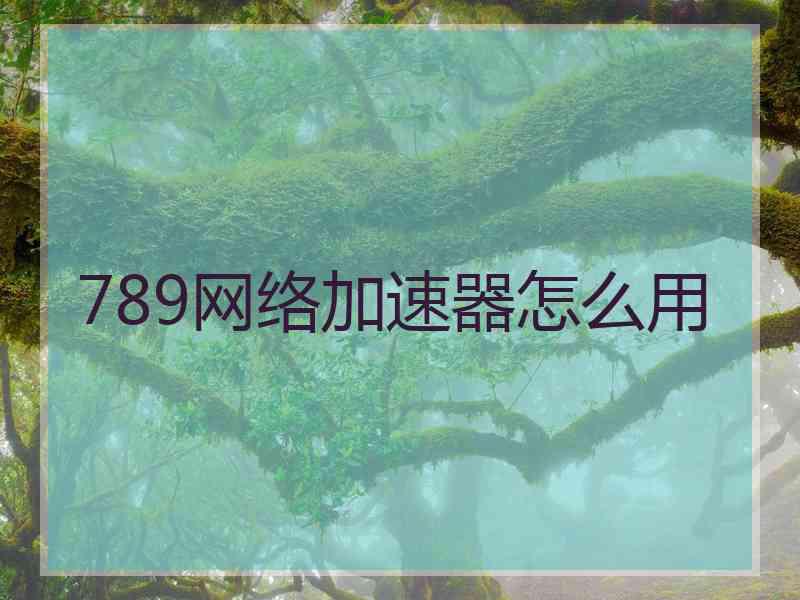 789网络加速器怎么用