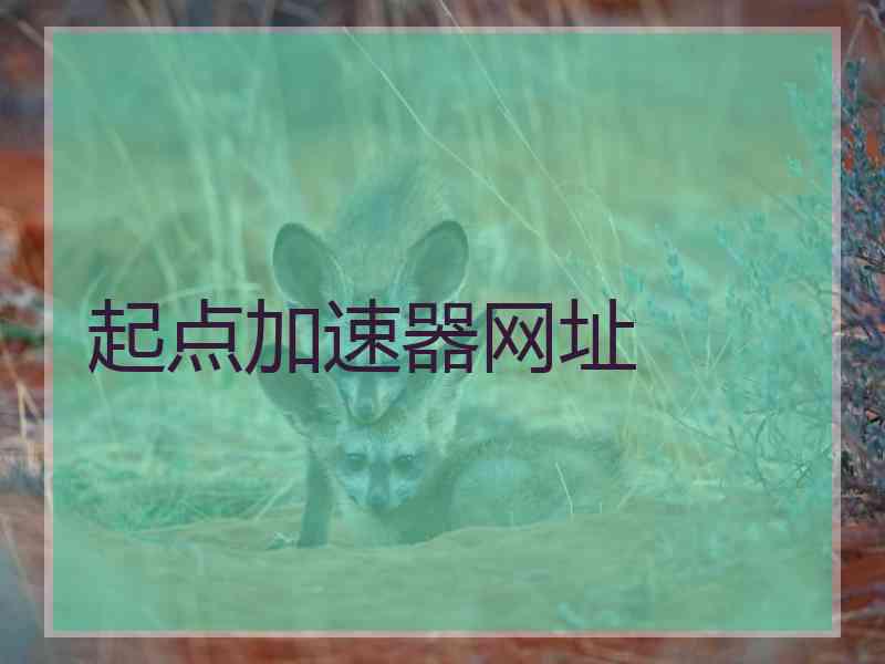起点加速器网址