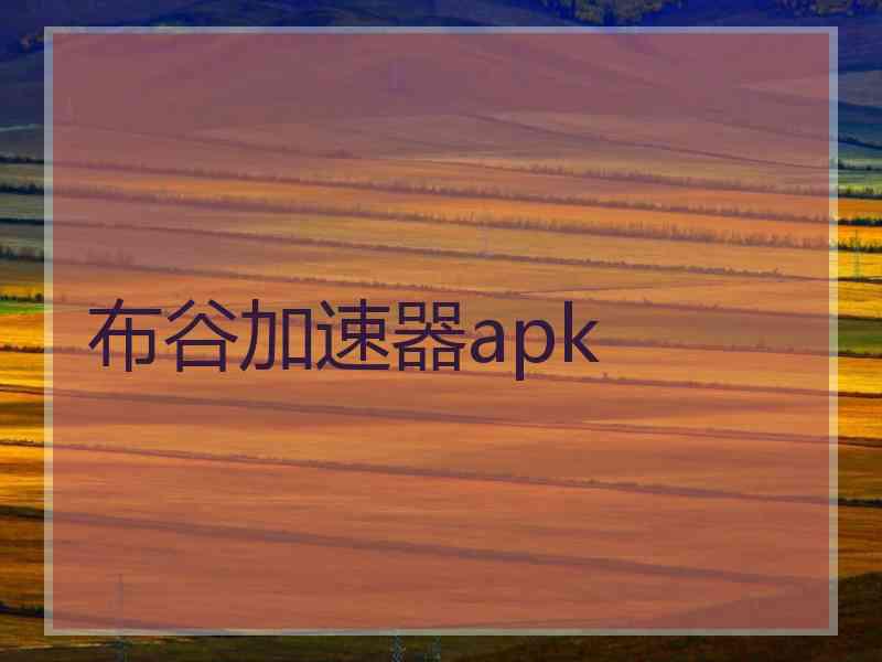 布谷加速器apk